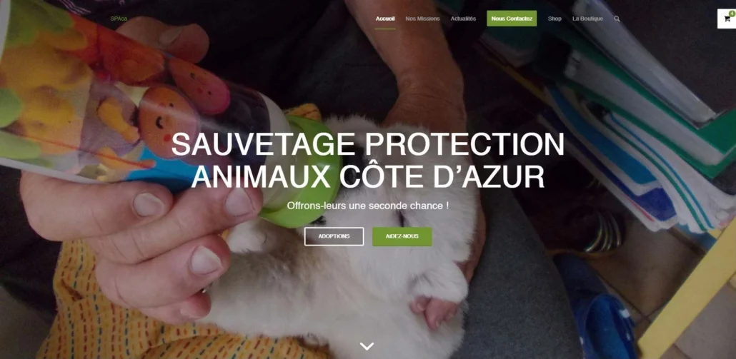 new site after redesigning it